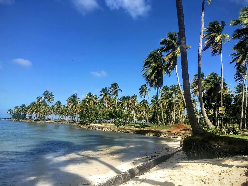 Guest house Villa La Caleta Las Galeras